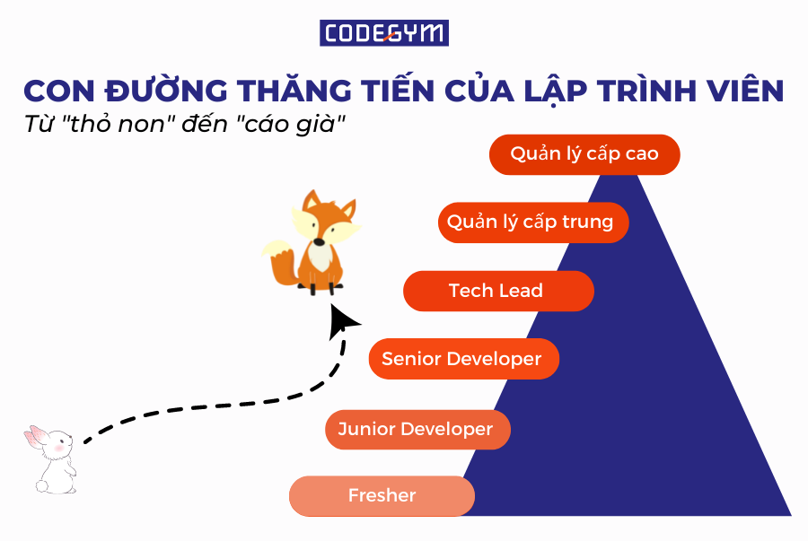 Con đường thăng tiến của lập trình viên – Từ “thỏ non” đến “cáo già”