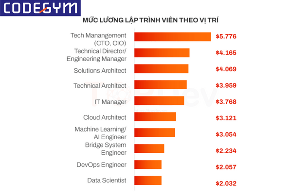 lương lập trình web