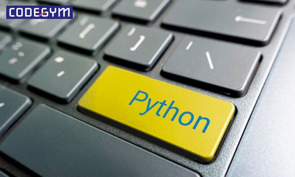 Python là gì? 5+ lý do bạn nên lập trình web với PYTHON