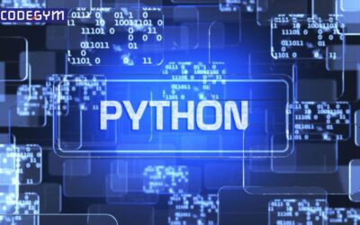 Python là gì? Hướng dẫn học ngôn ngữ lập trình Python mới nhất 2022
