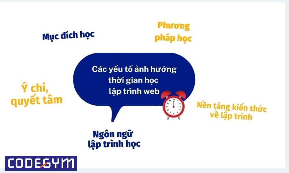 Lập trình Web là làm gì? Lập trình web có phù hợp với bạn không?