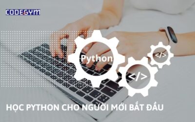 Gợi ý 5+ thư viện hữu ích để học Python cho người mới bắt đầu