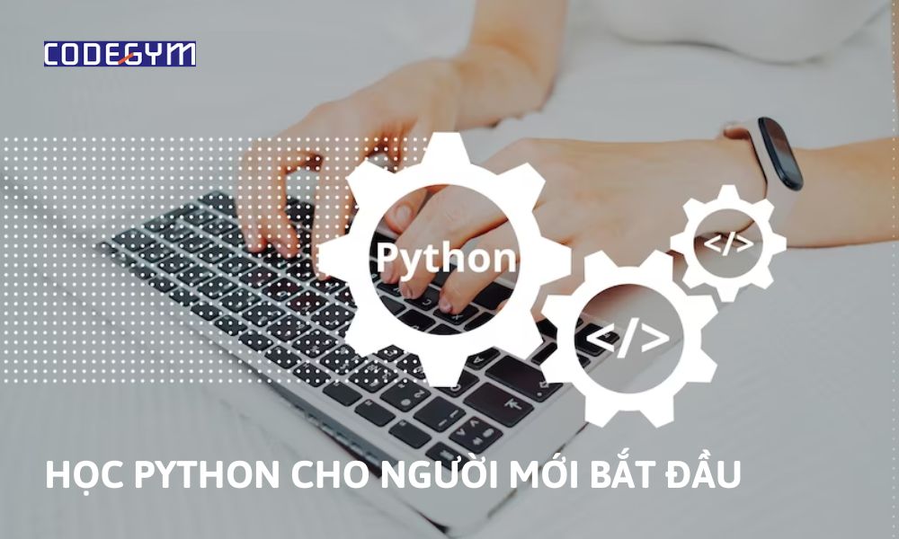 Gợi ý 5+ thư viện hữu ích để học Python cho người mới bắt đầu