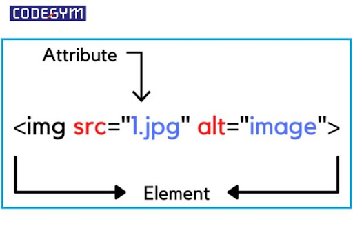 Ví dụ về Attributes trong HTML