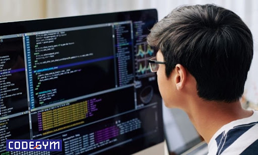 Tìm hiểu về nghề lập trình: Cơ hội và thách thức