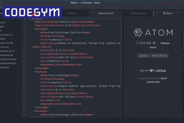 Phần mềm lập trình Atom – Hiệu quả và linh hoạt